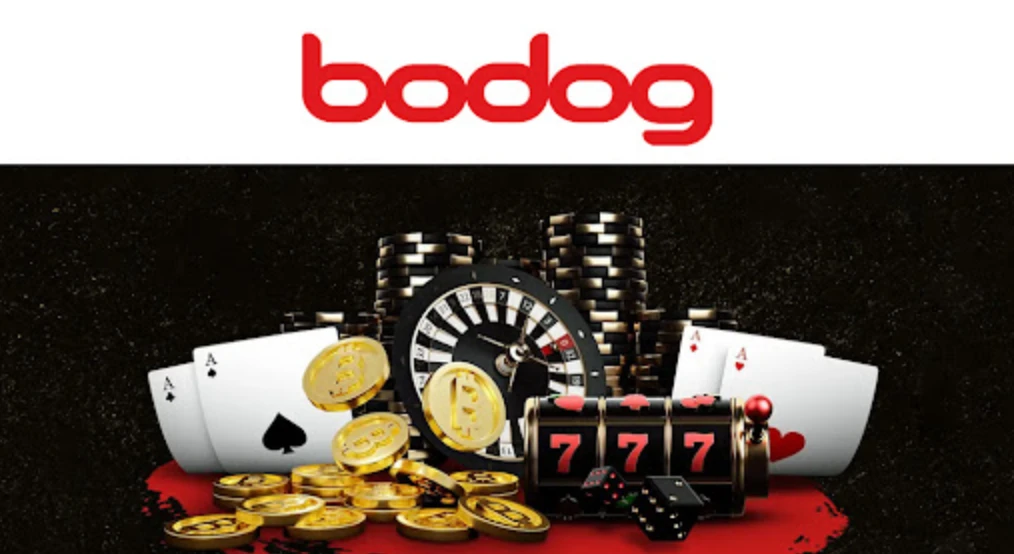 bodog casino